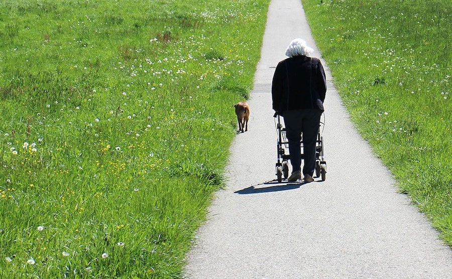 narrow walkers for seniors