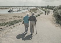 Best Walking Canes For Seniors