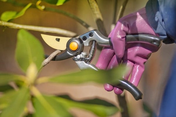 ergonomic prunners