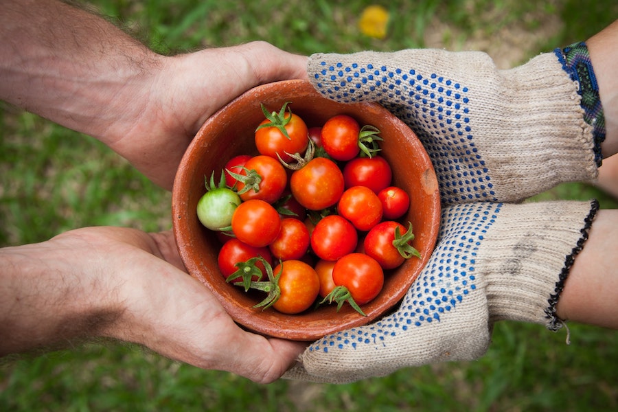 gardening tools for seniors