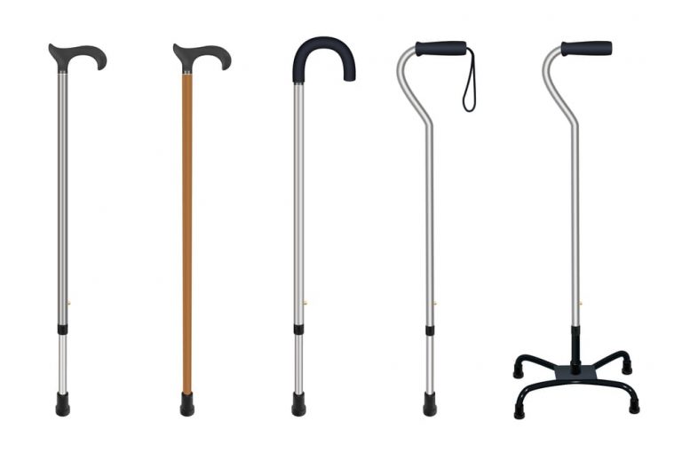 Walking Stick Vs. Cane What’s The Difference? Mobility With Love