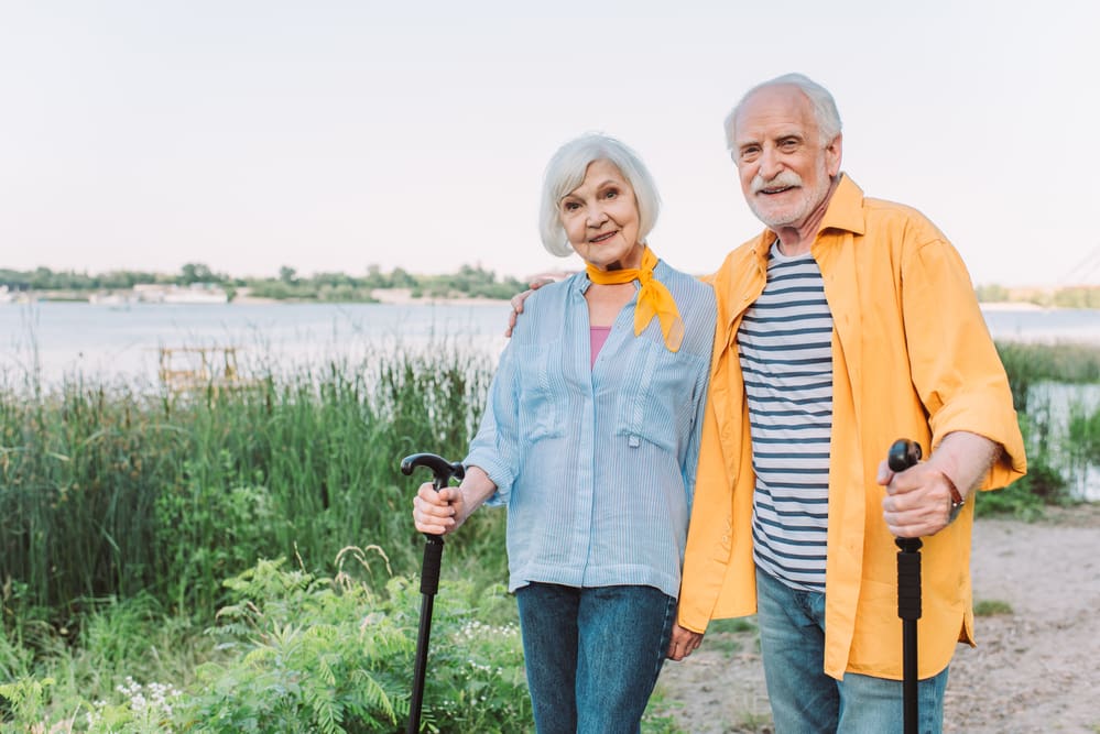 walking stick vs. walking cane